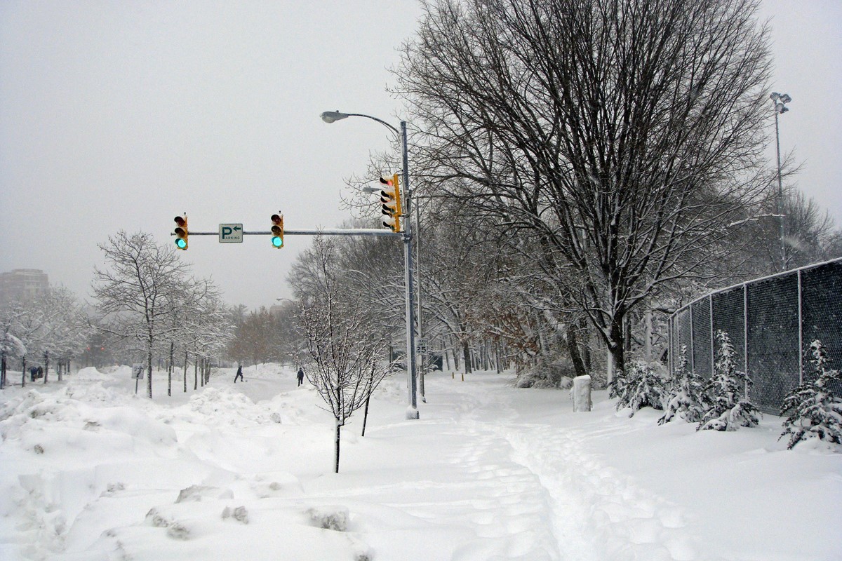 Snowy Day photo